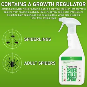 Xterminate Spider Repellent Spray 4L