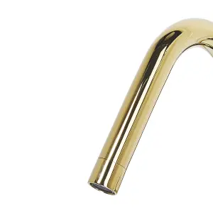 Beliani Modern Sink Faucet KALAMBO Gold