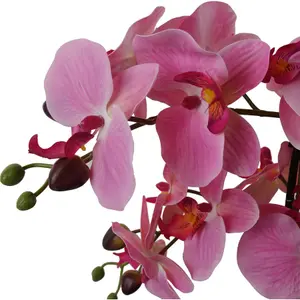 50cm Artificial Orchid with Glass Planter - Pink