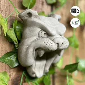 Bulldog Head Stone Wall Plaque