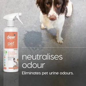 Dew Products Pet All In One Antibacterial 500ml x 2