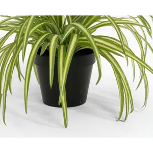 Blooming Artificial - 25cm Faux Spider Plant - Indoor Fake Green Houseplant