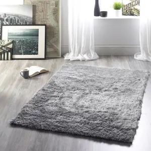 Origins Glamour Silver Rug 120 X 170