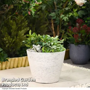 Lily White Stone Effect Planter for Garden Outdoors Weatherproof Plastic (x2)