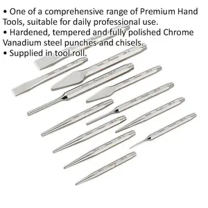 12-Piece Premium Punch and Chisel Set - Durable Chrome Vanadium Steel Tools