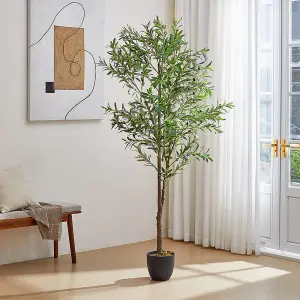 210cm H Artificial Olive Tree Decorative Plant in Planter Suitable for Office Living Room