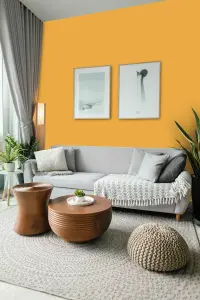 Leyland Trade Vinyl Matt Walls & Ceilings Emulsion Paint Mango Margarita (PPG1204-7) 1L