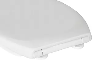 Bemis Arona Top Fix Slow Close Quick Release Toilet Seat