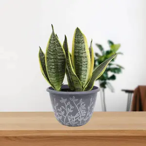 25cm Pot Serenity Planter Grey With White Wash Effect Plant Flower Garden Patio