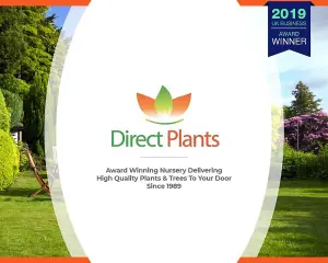 Direct Plants Mixed Garden Shrub Selection, Pack of 10 Supplied in 9cm Pots