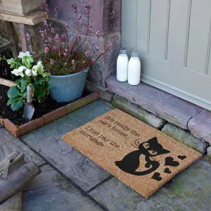 It's really the Cats House, I just pay the Mortgage Doormat