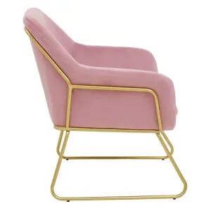 Interiors by Premier Functional Pink Velvet Bushed Gold ArmChair, Cozy Desk Chair Pink Velvet, Easy to Clean Pink Velvet Chair