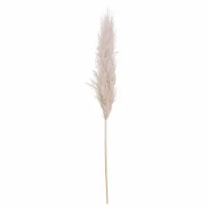 UK Homeliving Cream Pampas grass