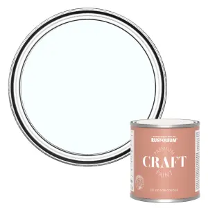 Rust-Oleum Premium Craft Paint - Icecap 250ml