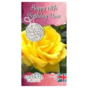 Happy 18th Birthday Rose Bush Gift Wrapped - Plant Gift Perfect for Gardeners