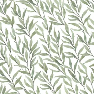 Willow Leaf Wallpaper In Green