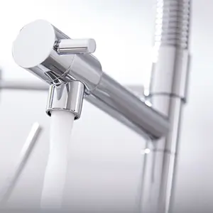 Nes Home Mono Pull Out Kitchen Mixer Tap Dual Spout Spray Chrome