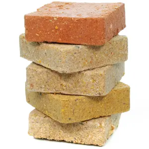 5 x SQUAWK Mixed Suet Fat Blocks - High Energy Wild Bird Food Garden Birds Protein Treats