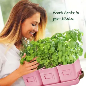 Herb Pots 2 Pack Pink Indoor Planters with Leather Handled Tray Ideal for Kitchen Windowsill Herb Garden