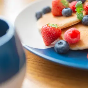 Dipped Stoneware Dinner Plate - 26.5cm - Navy