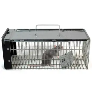 Humane Animal Trap for Vermine Rat/Squirrel Heavy Duty Metal Catcher