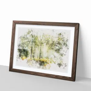 View Of The Forest In The Spring - Single Picture Frame Print on MDF Walnut / 33cm H x 45cm W x 2cm D