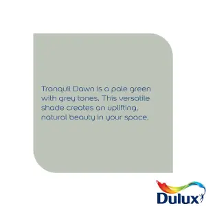 Dulux Easycare Tranquil Dawn Matt Wall paint, 5L