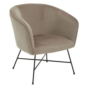 Interiors by Premier Mink Velvet Chair, Comfy Mink Outdoor Metal Legs Velvet Chair, Effortless Cleaning Velvet Chair