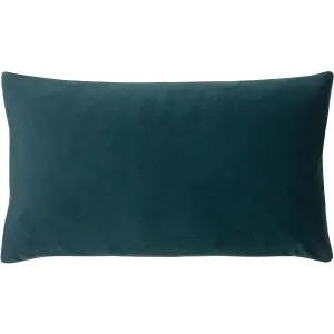 Paoletti Sunningdale Rectangular Velvet Feather Filled Cushion