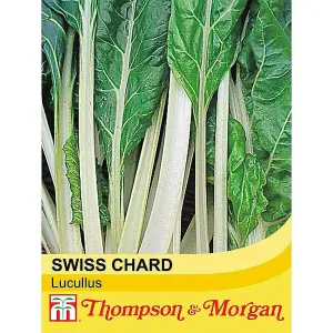 Swiss Chard (Leaf Beet) Lucullus 1 Seed Packet