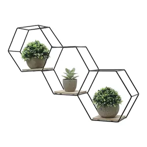 3 Compartments Modern Hexagon Wall Shelf with Iron Frame