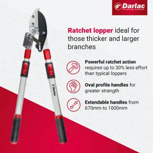 Darlac Telescopic Ratchet Lopper, DP474A