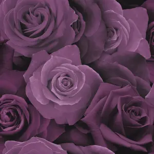 Arthouse Austin Rose Purple Wallpaper