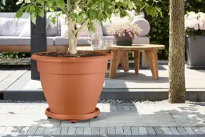 Elho Universal Round Planttaxi 35cm for Plastic Plant Pots in Terra