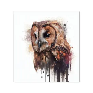 Tawny Owl Face Splashart Light Background Premium Glass Kitchen Splashback W900mm x H750mm