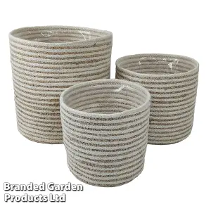 Indoor Planter Basket Natural Navy Seagrass Set of Three 25cm, 20cm & 17cm Diameter Garden Gear