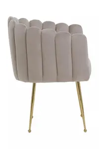 Interiors by Premier Mink Velvet Dining Chair, Modern Chair with Golden Legs, Lasting Accent Chair for Home, Office