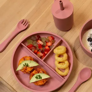 Tiny Dining - Baby Silicone Suction Weaning Set - Dusty Rose - 5pc