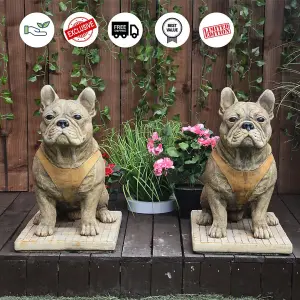 Pair of Life Size French Bulldog Statues