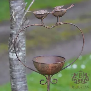 Robins on Heart Bird Bath Feeder