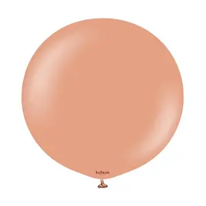 Kalisan Standard Latex Plain Balloons (Pack of 2) Pink Clay (One Size)