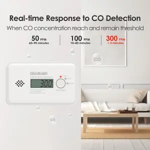 WisuAlarm 10 Year Standalone CO Alarm Sealed Battery