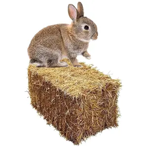 1.6kg (2 Bags) Soft Flake Barley Straw Medium Animal Bedding For Rabbit & Tortoise