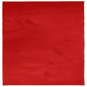 Rug OVIEDO Short Pile Red 160x160 cm