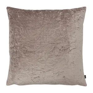 Ashley Wilde Kassaro Velvet Feather Filled Cushion