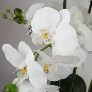 Artificial Orchid with Glass Planter White Botanik