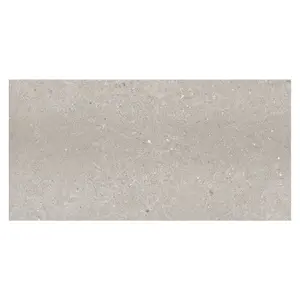 Azure Matt Grey Stone Effect Porcelain Outdoor Tile - Pack of 7, 5.04m² - (L)1200x(W)600mm