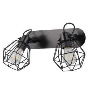 Modern Matt Black 2 Light Spotlight