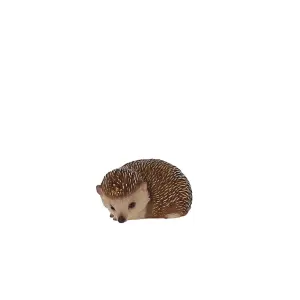 Terrastyle Brown Resin Hedgehog Garden ornament (H)9.3cm