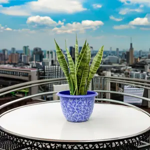 30cm Pot Serenity Stout Planter Blue Round With White Wash Plant Flower Garden